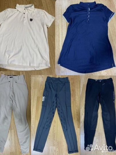 Конные бриджи, бреггинсы, поло