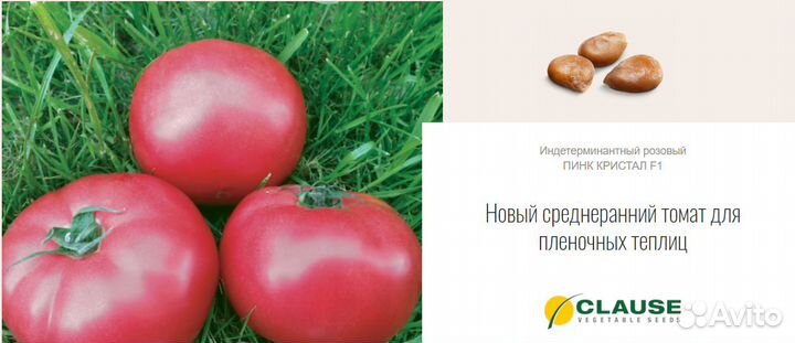 Семена Томат Пинк кристал F1