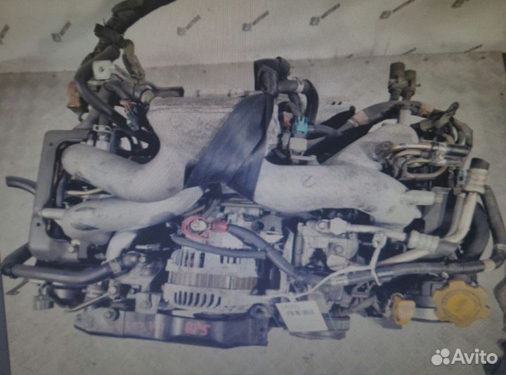Двигатель на subaru legacy BP5 EJ204