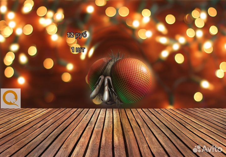 Коды на аксессуары в роблокс