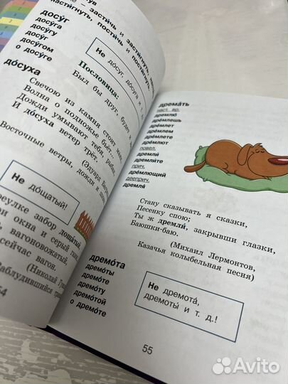 Книга по русскому языку