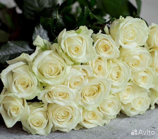 Розы высокие Доставка цветов