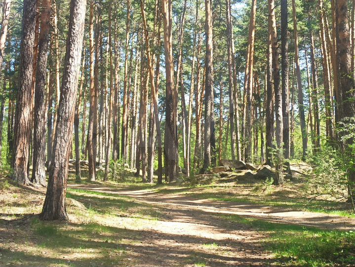 2-к. квартира, 50 м², 2/3 эт.