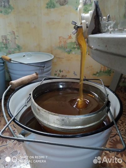 Мёд из Шекснинского района