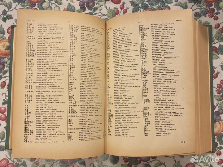 Japanese-english technical terms dictionary