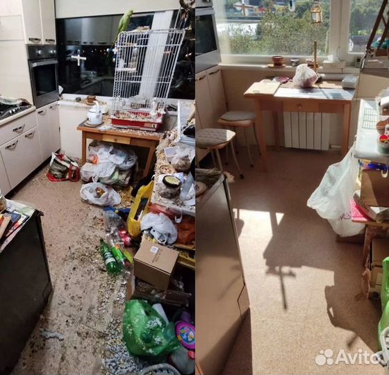 Мастер чистоты уборка домов