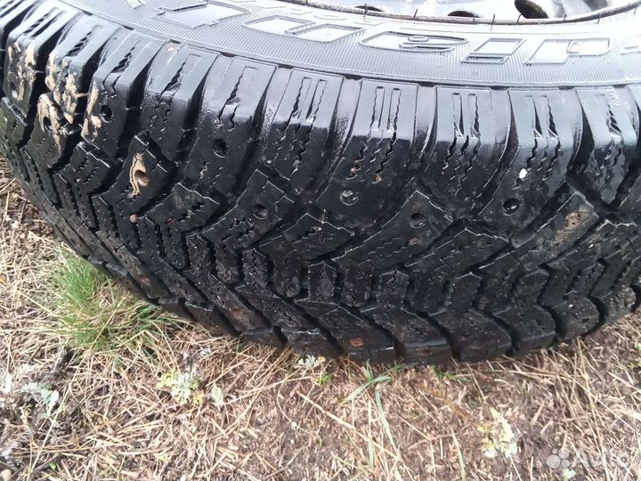 Cordiant Polar 185/70 R14