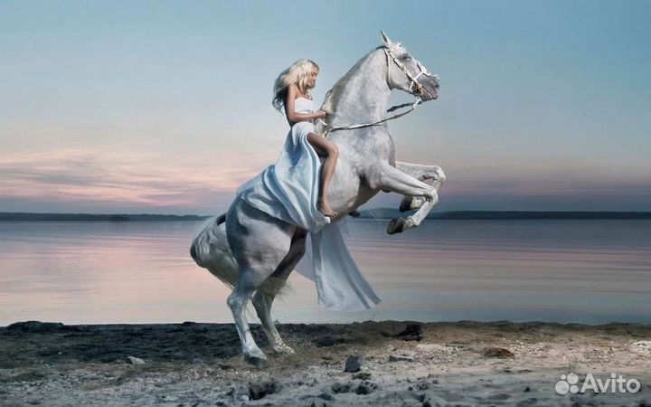 Редактирование / фотошоп