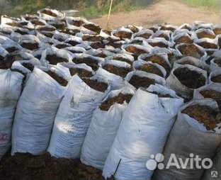 Конский навоз