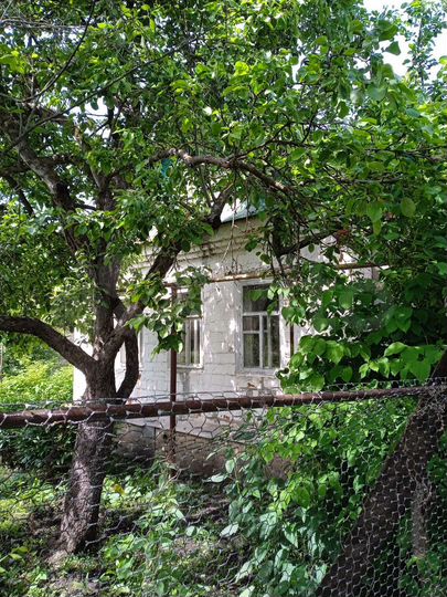 Дом 53,3 м² на участке 13 сот.