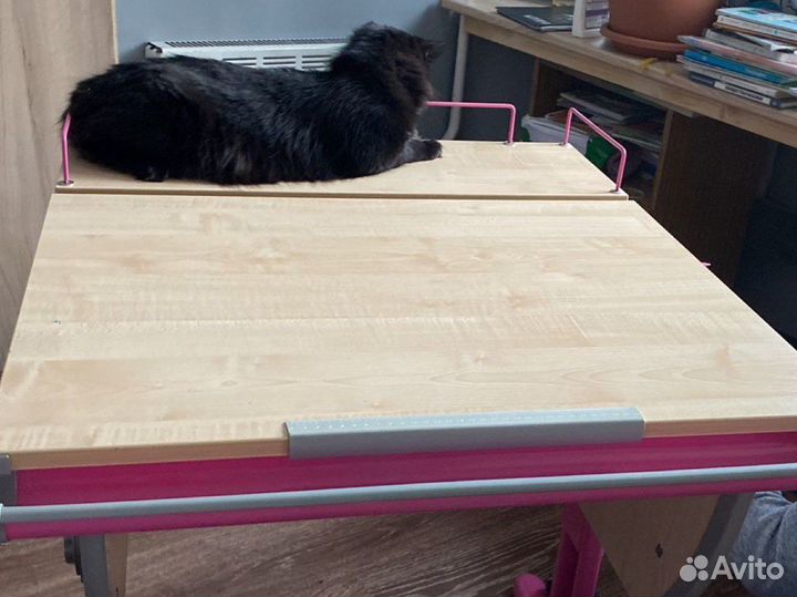 Ортопедическая парта со стулом и полочками