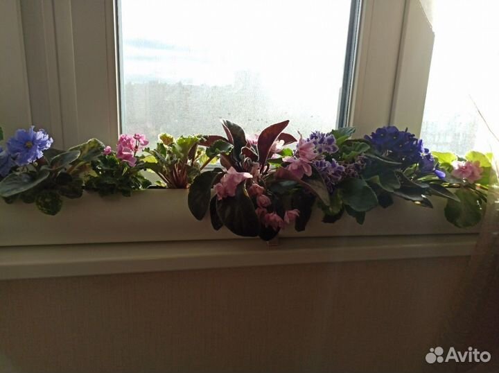 Самое узкое и длинное кашпо с автополивом 1 м