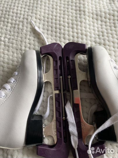 Коньки монтана голд