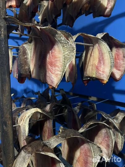 Вяленая рыба
