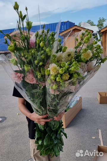 Эустома Лизиантус опт цветы