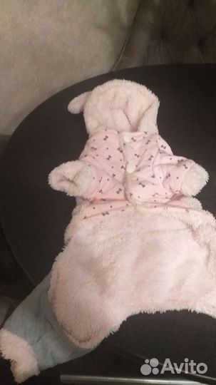 Комбинезон для маленькой собачки