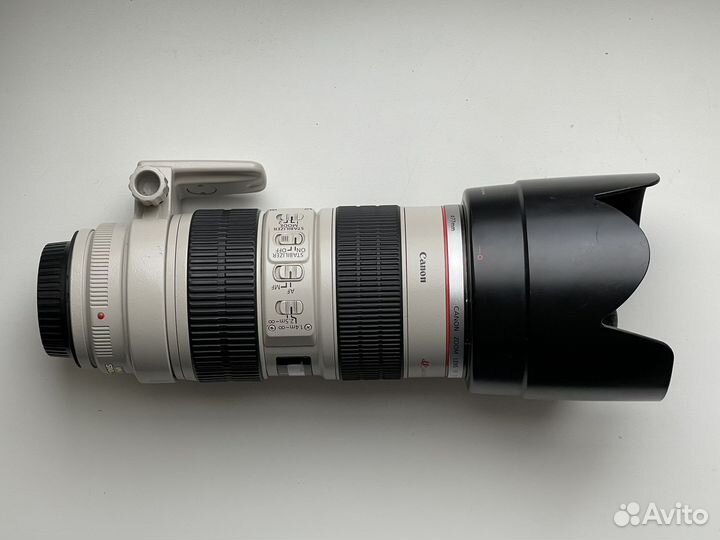 Canon EF 70-200mm f/2.8L IS USM