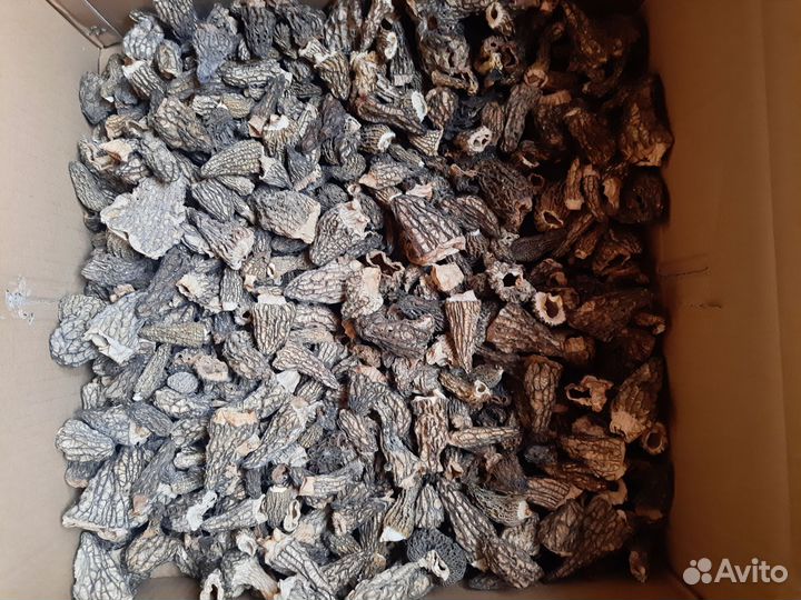 Сушеные грибы