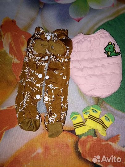 Вещи на маленьких собак