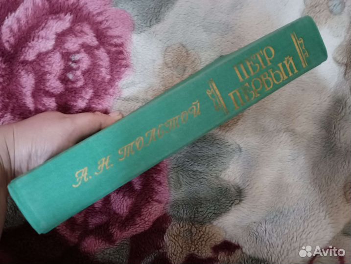 Книга Пётр первый