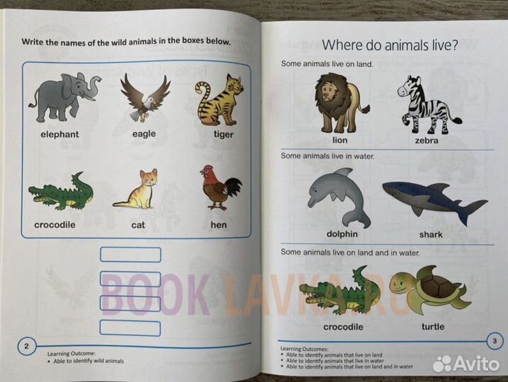 Книги на английском языке Rainbow science