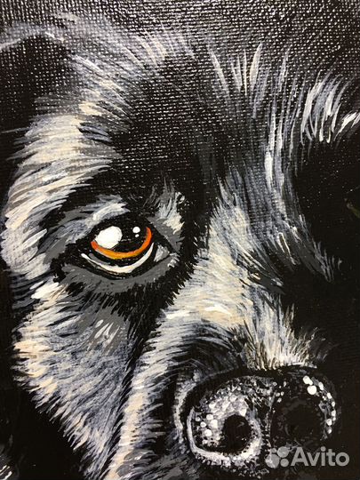 Интерьерная картина 