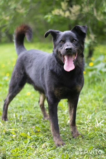 Тот самый парень который не оборачивается на взрыв