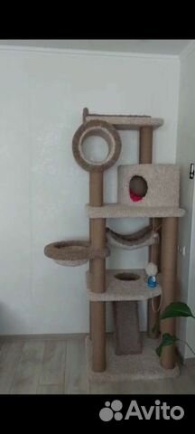 Игровой комплекс для кошки.мало б у. Высота 2 м