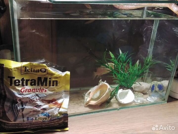 Аквариум с рыбкой