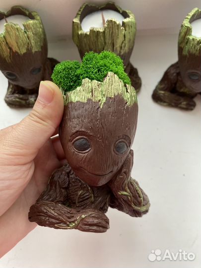 Малыши грутики