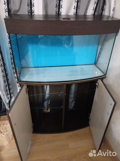 Аквариум и его декор