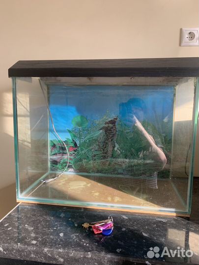 Аквариум