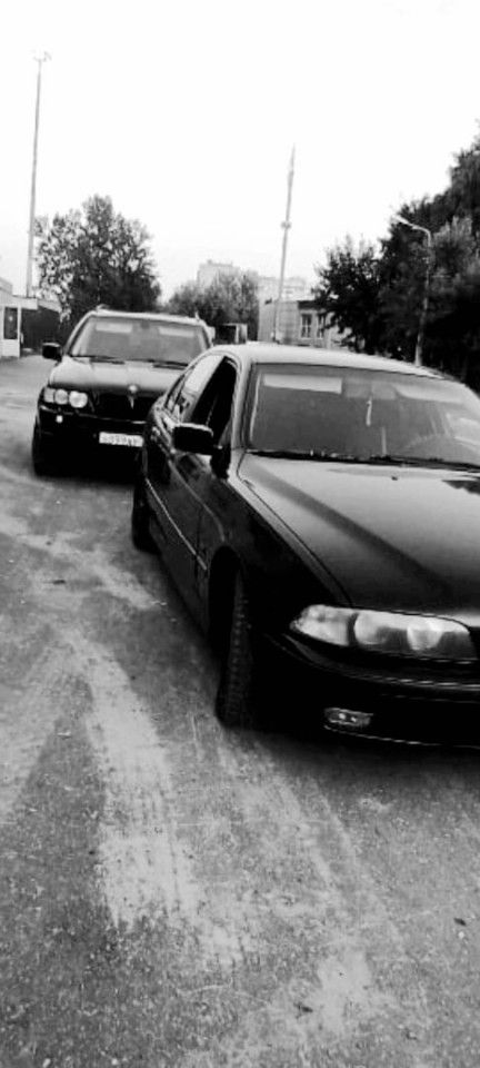 BMW 5 серия: фото владельца