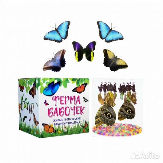 Ферма бабочек