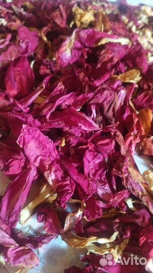 Травы. Лепестки пиона сушёные