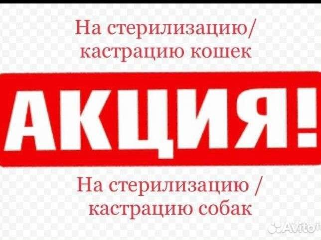 Ветеринарный врач