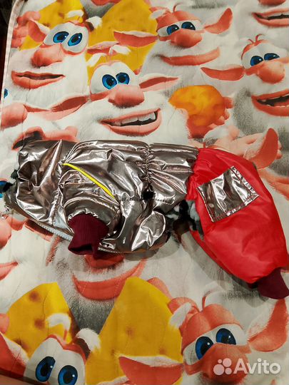 Одежда для собак