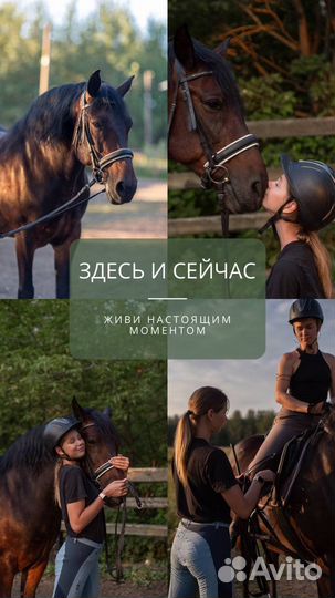 Конные прогулки