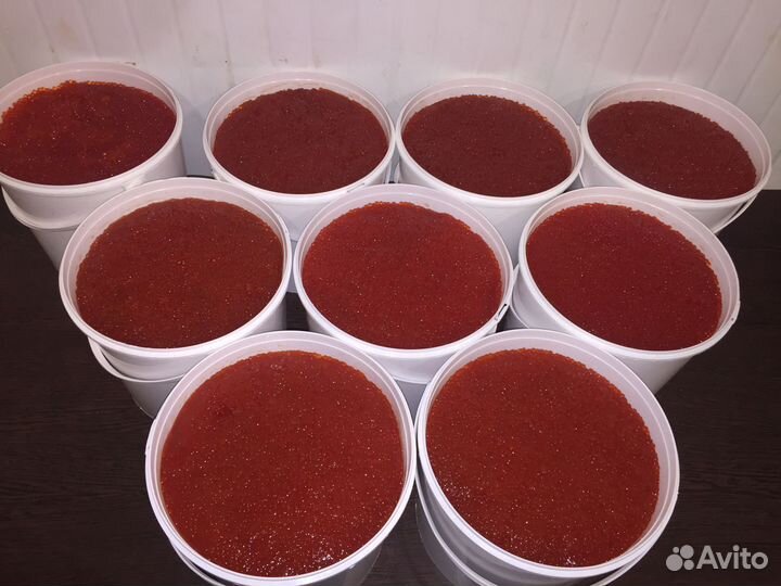 Икра Форели Оптом