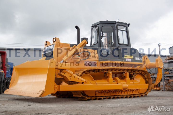 Beezone D16-5, 2023