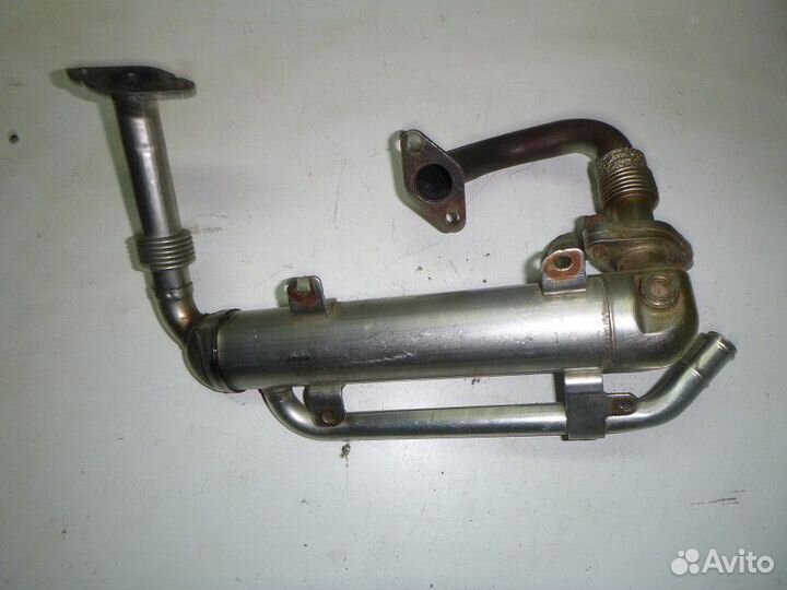 Радиатор системы EGR Volkswagen passat B6 2005