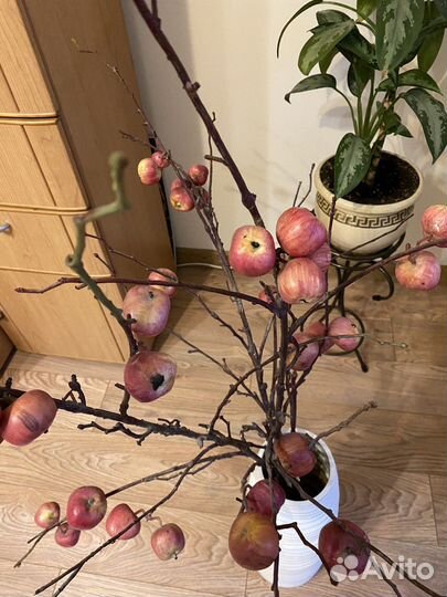 Ваза напольная с декоративными яблоками