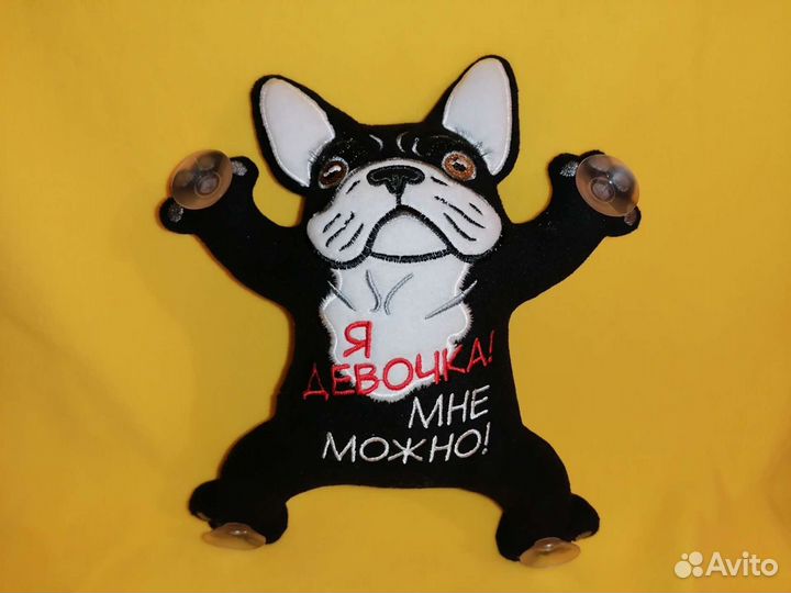 Кот Саймона в авто