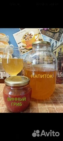 Винный гриб