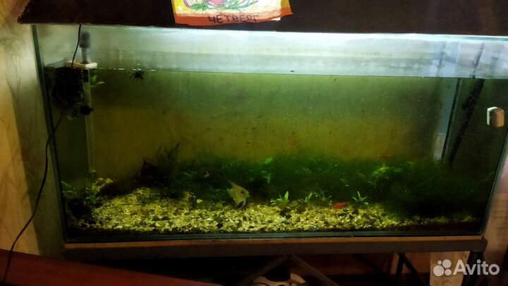 Аквариум с тумбой 500 литров