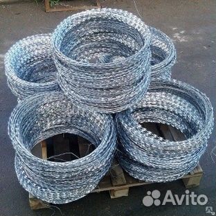 Колючая проволока егоза