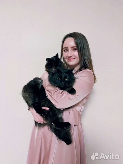 Передержка домашних животных