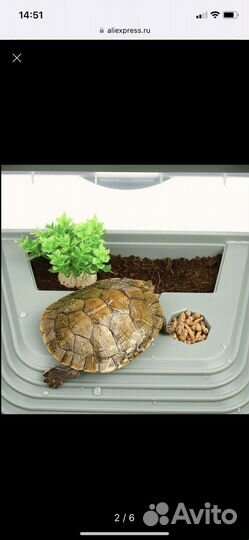 Аквариум для черепах