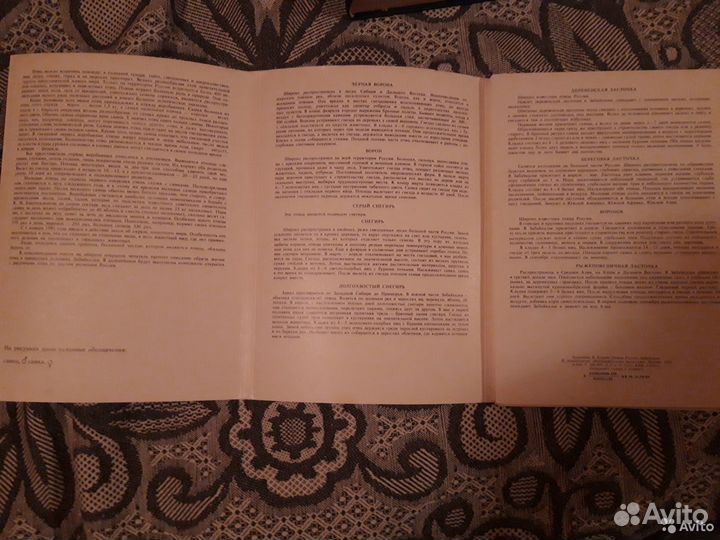 Набор открыток СССР худ.Егоров Птицы Забайкалья