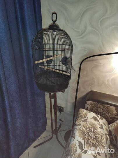 Клетка для птиц круглая
